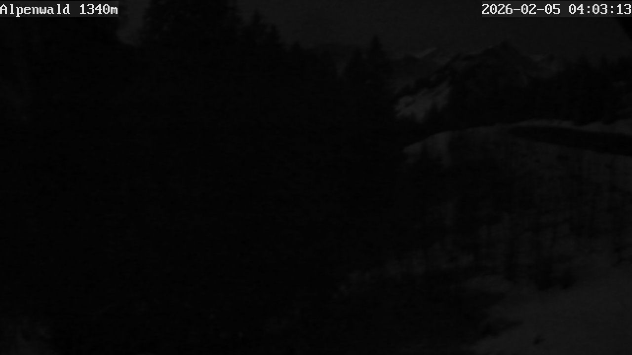 Bild: Gasthof Alpenwald